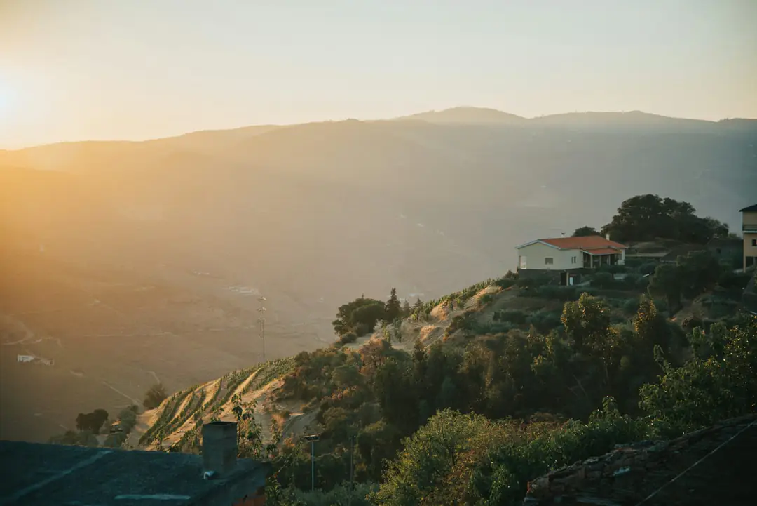 Low golden sun over terraced vineyards and a red-roofed house in the Douro Valley