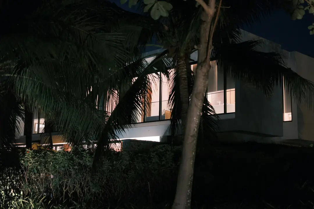 A modern house with glowing windows at night, palm fronds in the foreground