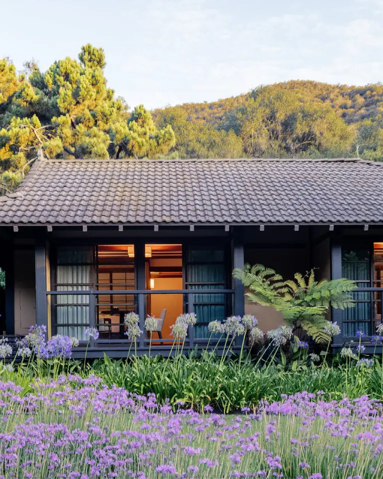 Single-storey guest wing with a tiled roof and lit windows behind beds of purple flowers, wooded hills beyond