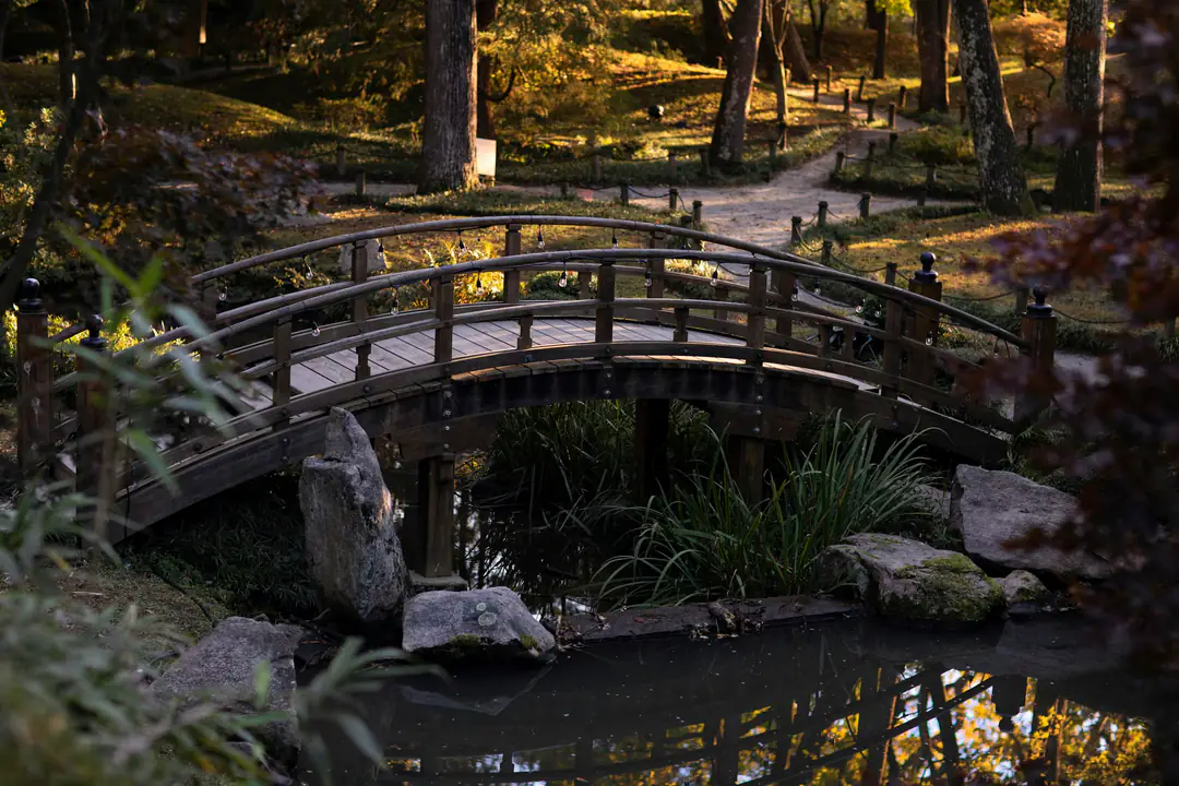 A wooden arched footbridge over a still pond in a shaded garden