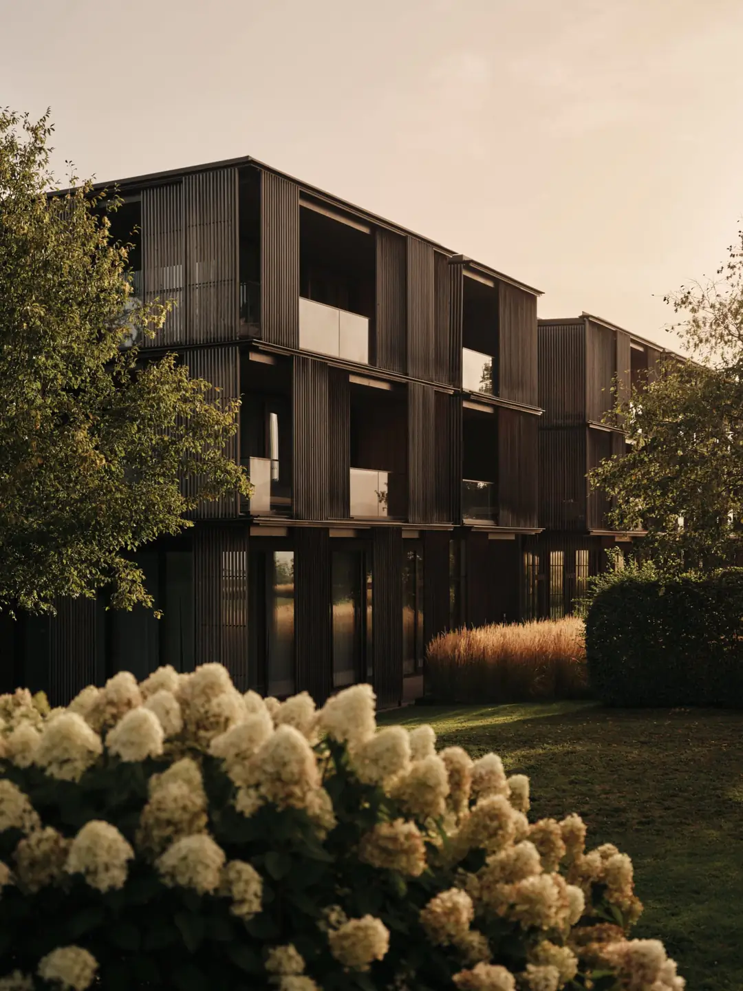 Dark timber facade with vertical louvred shutters and loggias, behind white hydrangeas at dusk