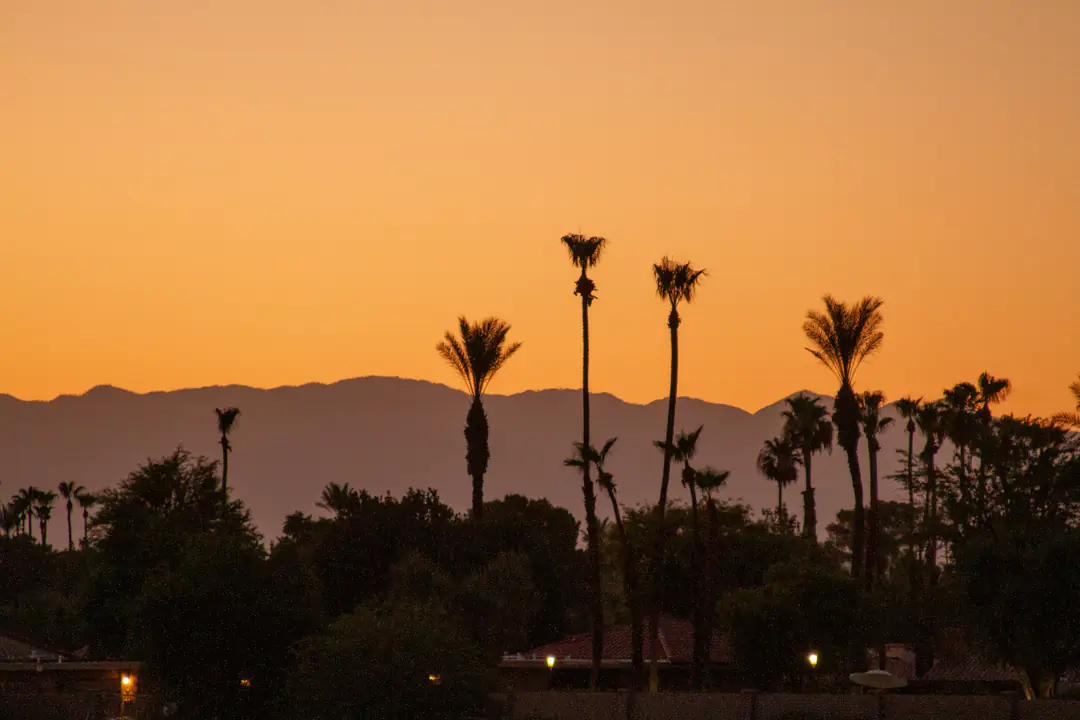 Palm silhouettes against a mountain ridge under an amber dusk sky