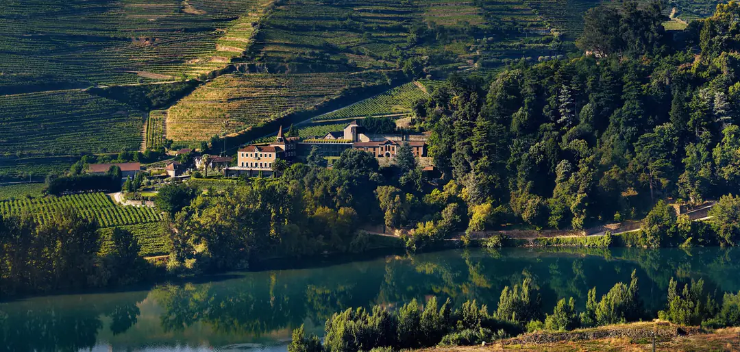 The manor house among trees above the Douro, with terraced vineyards on the hills behind